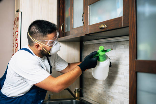 Best Best Pest Control Companies  in Malad City, ID