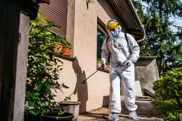 Best Bed Bug Extermination  in Malad City, ID