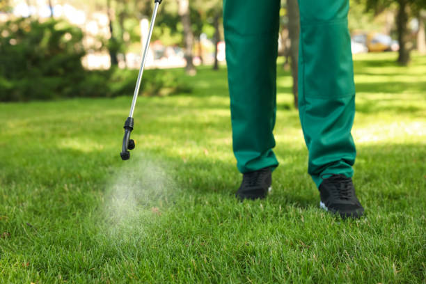 Best Wasp Removal Services  in Malad City, ID