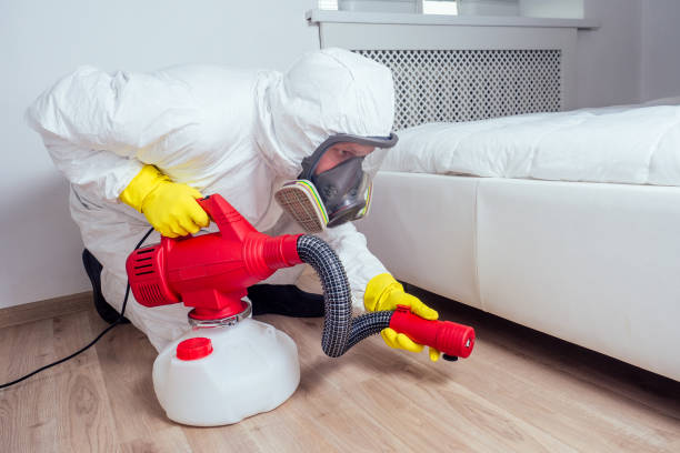 Best Pest Removal Services  in Malad City, ID