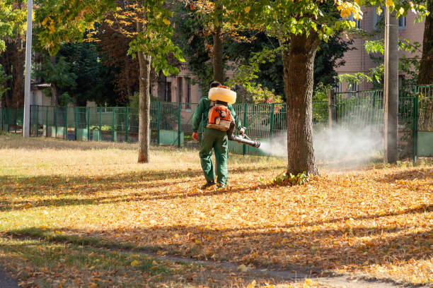 Best Pest Control Treatment  in Malad City, ID