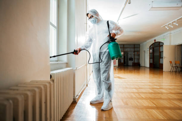 Best Affordable Pest Control Services  in Malad City, ID